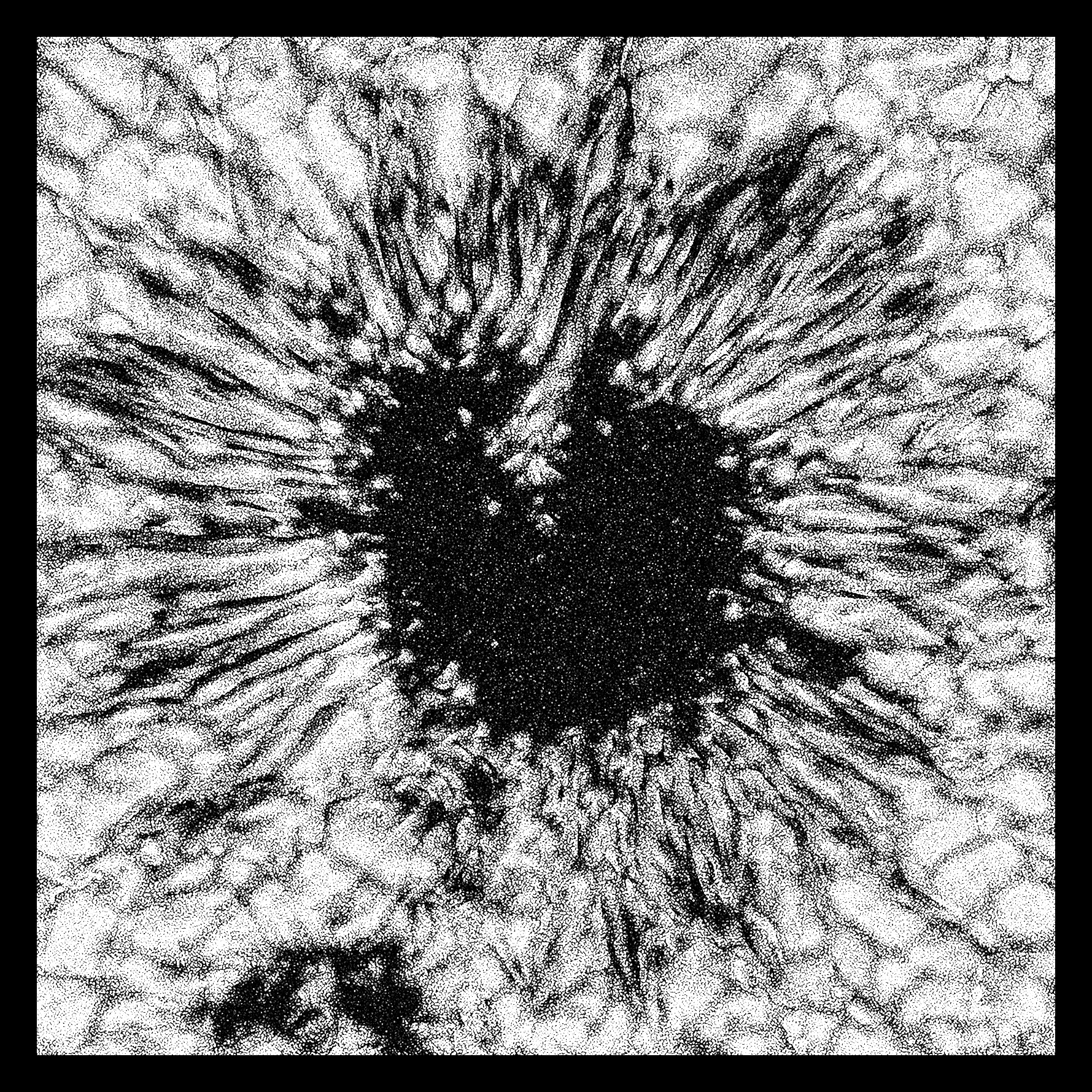 black and white logo of a sunspot